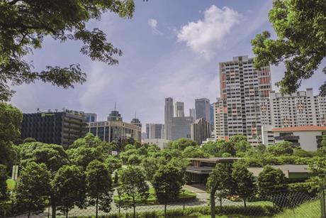 chuttersnap-j33pEUYY8gU-unsplash (4)