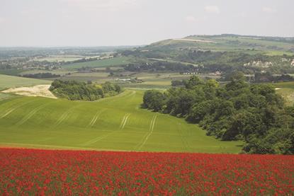 Arun Valley shutterstock_1124254940